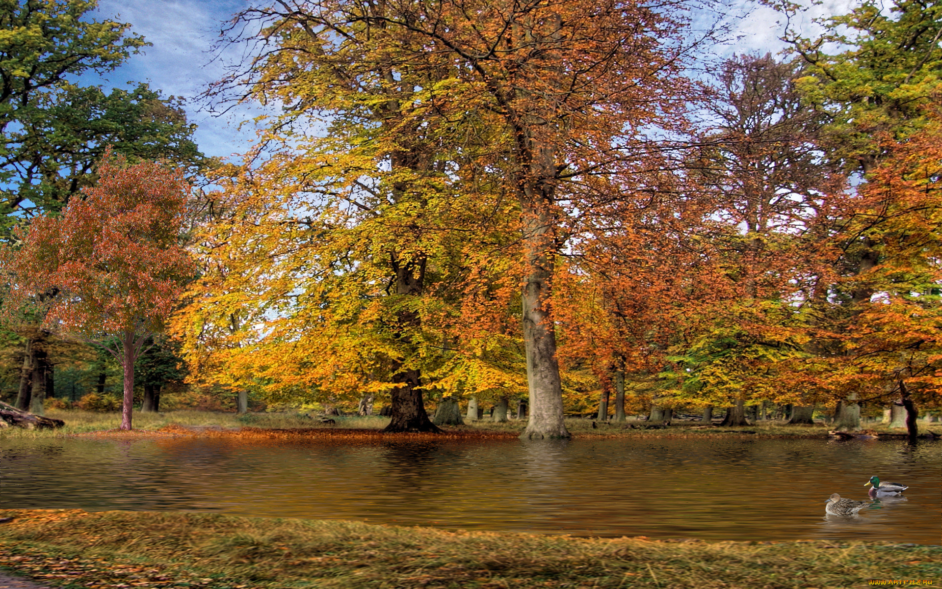 autumn, park, , , , , 